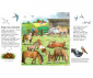 Книжки с капачета и енциклопедии за деца на издателство ФЮТ - Енциклопедия за най-малките: Разходка с пони thumb 4