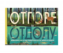 Енциклопедии за деца на издателство ПАН - Отгоре и отдолу: Животните над и под повърхността на земята и водата