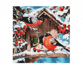 Комплект рисуване по номера с акрилни бои върху платно на подрамка Ideyka, Ярки снежни птици, 40 x 40 см - Fistocommerce KHO4041