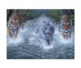 Комплект рисуване по номера с акрилни бои Royal Junior Large, Тигри, 39 х 30 см - Fistocommerce PJL34