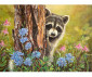 Комплект рисуване по номера с акрилни бои Royal Junior Large, Енот, 39 х 30 см - Fistocommerce PJL48 thumb 2