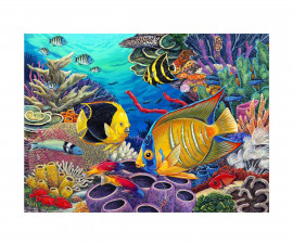 Комплект рисуване по номера с акрилни бои Royal Junior Large, Коралов риф, 39 х 30 см - Fistocommerce PJL50