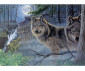 Комплект рисуване по номера с акрилни бои Royal Adult Large, Вълци, 39 х 30 см - Fistocommerce PAL39 thumb 2