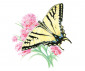 Комплект 4 картини микс Royal: Рисуване по номера с цветни моливи, пеперуди - Fistocommerce AVSDME202 thumb 2