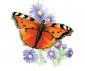 Комплект 4 картини микс Royal: Рисуване по номера с цветни моливи, пеперуди - Fistocommerce AVSDME202 thumb 3
