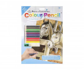 Комплект рисуване по номера с цветни моливи Royal, Коне - Fistocommerce CPN16
