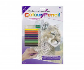 Комплект рисуване по номера с цветни моливи Royal, Пума - Fistocommerce CPN17