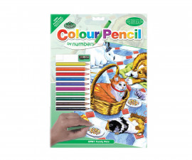 Комплект рисуване по номера с цветни моливи Royal, Домашни любимци - Fistocommerce CPN1