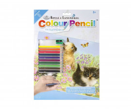 Комплект рисуване по номера с цветни моливи Royal, Котенца - Fistocommerce CPN14