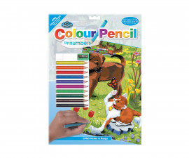 Комплект рисуване по номера с цветни моливи Royal, Куче и коте - Fistocommerce CPN3