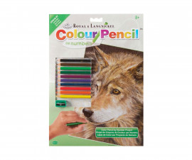 Комплект рисуване по номера с цветни моливи Royal, Вълк - Fistocommerce CPN18