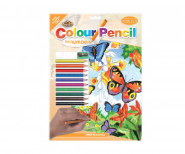 Комплект рисуване по номера с цветни моливи Royal, Пеперуди - Fistocommerce CPN2
