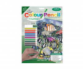 Комплект рисуване по номера с цветни моливи Royal, Тропически риби - Fistocommerce CPN7
