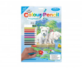 Комплект рисуване по номера с цветни моливи Royal, Кученца - Fistocommerce CPN8
