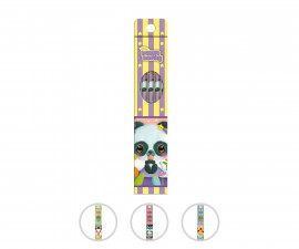 Bangoberry 33859-А - Set of 5 pencils