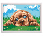 AS Company 1038-41012 - Оцветяване в рамка: Кученце thumb 5