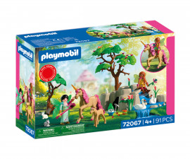 Playmobil 72067 - Fairies' Day Trip