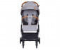 Сгъваема лятна бебешка количка за новородени с тегло до 15кг Chipolino Сити, платина LKCT02202PL thumb 2