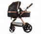 Комбинирана бебешка количка с обръщаща се седалка за деца до 22кг Chipolino Хавана, обсидиан/злато KKHA02401OG thumb 9