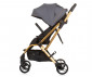 Сгъваема лятна бебешка количка за новородени с тегло до 22 кг. с обръщаща се седалка Chipolino Twister 360°, гранит LKTW02402GN thumb 2