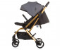Сгъваема лятна бебешка количка за новородени с тегло до 22 кг. с обръщаща се седалка Chipolino Twister 360°, гранит LKTW02402GN thumb 3