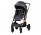 Комбинирана количка с обръщаща се седалка за новородени бебета и деца до 22кг Chipolino Зара, антрацит KKZAT02201AN thumb 5