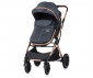 Комбинирана количка с обръщаща се седалка за новородени бебета и деца до 22кг Chipolino Зара, антрацит KKZAT02201AN thumb 6