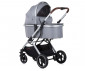Комбинирана количка с обръщаща се седалка за новородени бебета и деца до 22кг Chipolino Зара 3в1, платина KKZA02202PL thumb 2