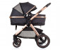 Комбинирана бебешка количка с обръщаща се седалка за деца до 22кг Chipolino Аспен, абанос KKAS02301EB thumb 4