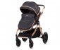 Комбинирана бебешка количка с обръщаща се седалка за деца до 22кг Chipolino Аспен, абанос KKAS02301EB thumb 6