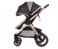 Комбинирана бебешка количка с обръщаща се седалка за деца до 22кг Chipolino Аспен, абанос KKAS02301EB thumb 9