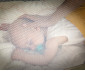 Преносима сгъваема кошара за бебе за спане и игра Hauck Dream N Play Plus, сива 603611 thumb 17