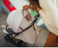 Сгъваема и преносима лятна бебешка количка за новородени с тегло до 25кг Hauck Travel N Care, сива 16015 thumb 23