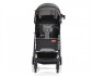 Лятна бебешка количка за деца с тегло до 15кг Moni Trento, сива 108881 thumb 3