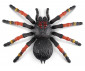 ZURU 7170 - Robo Alive Wildlife Giant Tarantula thumb 3