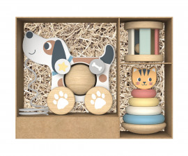 iWood TP516 - Hi Pando: 3 In 1 Gift Box