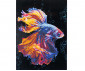 Nice 96405 - Diamantiny Level Up Fighting Fish thumb 4