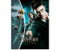 Nice 21064 - Diamantiny Wizarding Art Medium Harry Potter thumb 2