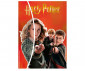 Nice 21012 - Diamantiny wizarding - hp foundation assort thumb 2