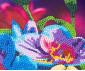 Nice 96563 - Diamantiny quadro assortment 1 thumb 4