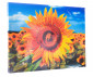 Nice 96561 - Diamantiny quadro assortment 4 thumb 3