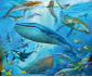 Ravensburger 05149 - Пъзел 3х49 елемента - Животински свят на океана thumb 4