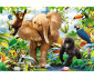 Ravensburger 05347 - Пъзел 24 елемента - Бебета животни в джунглата thumb 2
