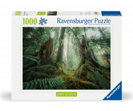 Ravensburger 12000292 - Пъзел 1000 елемента - Очарователна гора