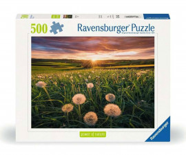Ravensburger 12000592 - Пъзел 500 елемента - Пустинни цветя на слънце
