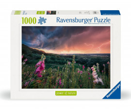 Ravensburger 12000793 - Пъзел 1000 елемента - Идва буря