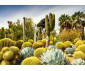 Ravensburger 12000850 - Пъзел 1000 елемента - Красиви градини: Пустинната градина Хънтингтън thumb 2
