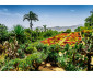 Ravensburger 12000853 - Пъзел 1000 елемента - Красиви градини: Ботаническа градина, Мадейра thumb 2