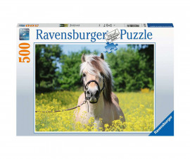 Ravensburger 15038 - Пъзел 500 елемента - Бял кон