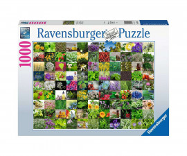 Ravensburger 15991 - Пъзел 1000 елемента - Билки и подправки